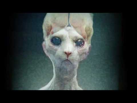 Alien Cat